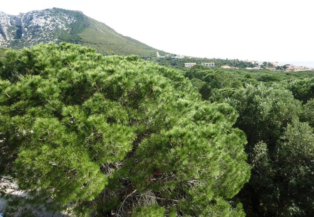 La Bouganville Cala Gonone