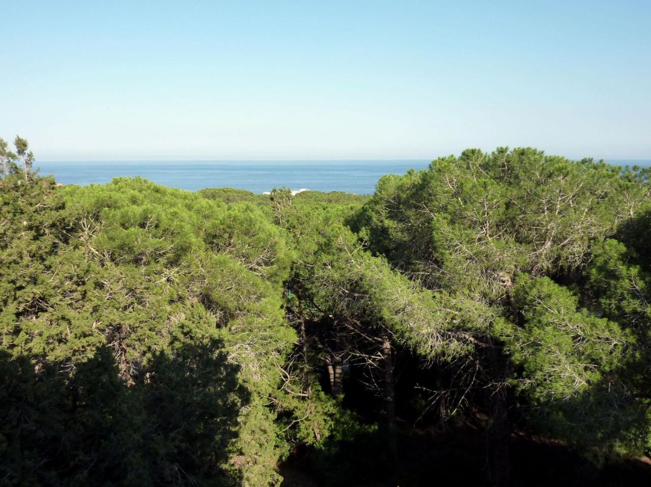 La Bouganville Cala Gonone